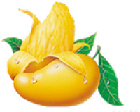 80. Aam (500 gm)