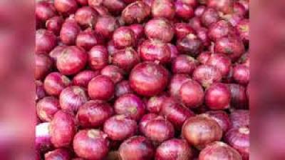 59. Pyaj big size (500 gm)