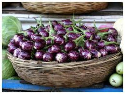6. BAIGAN (250GM)