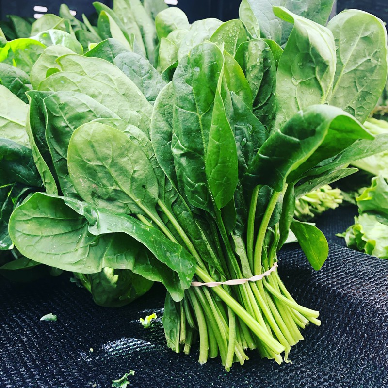 58. Palak (250 gm)