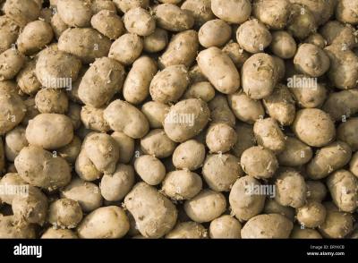 101. New aalu (500 gm )